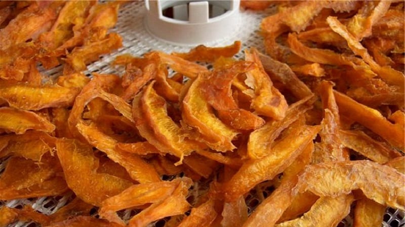 Healthy snacks at home: how to dry pumpkin in an electric dryer correctly and what you can eat it with