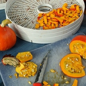 Healthy snacks at home: how to dry pumpkin in an electric dryer correctly and what you can eat it with