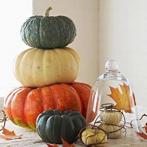 Healthy snacks at home: how to dry pumpkin in an electric dryer correctly and what you can eat it with