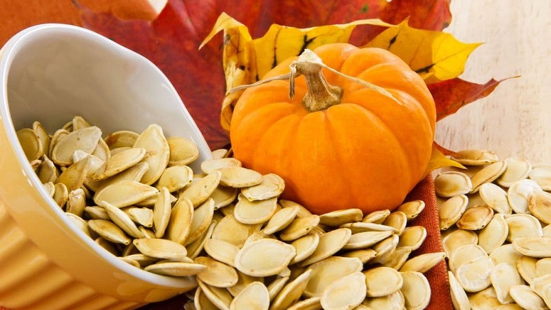 Healthy snacks at home: how to dry pumpkin in an electric dryer correctly and what you can eat it with