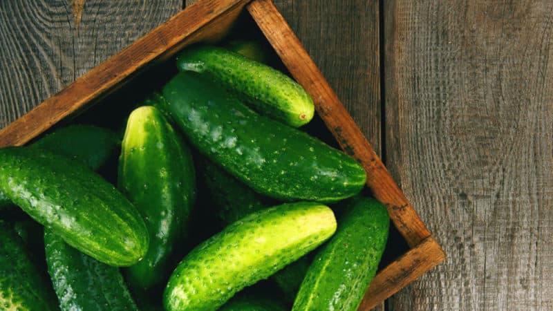 How to remove bitterness from cucumbers and why it appears in the first place