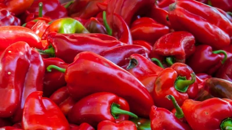How to grow hybrid pepper Denis to get a rich harvest of sweet and juicy fruits