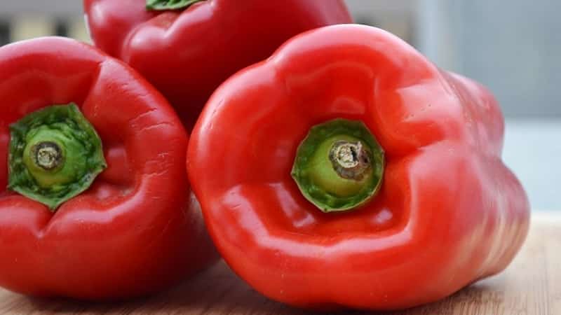 How to grow hybrid pepper Denis to get a rich harvest of sweet and juicy fruits