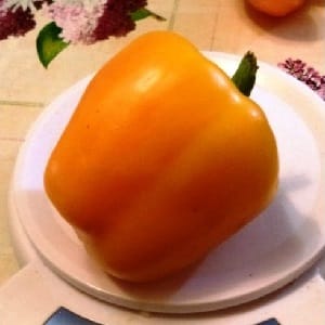 How to grow Bogdan pepper on your own plot: review and secrets of getting a rich harvest
