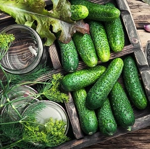 How to prepare crispy pickles in jars for the winter in a simple and tasty way
