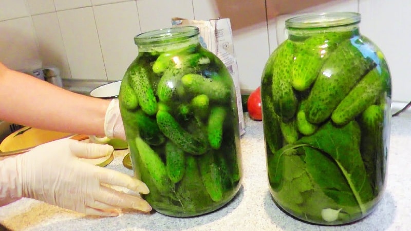 How to prepare crispy pickles in jars for the winter in a simple and tasty way