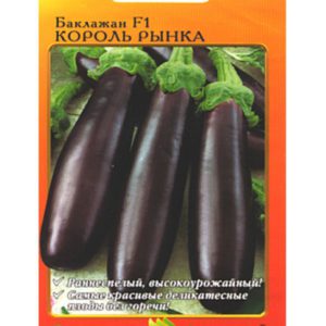 Easy-to-care and amazing-tasting eggplant King of the Market