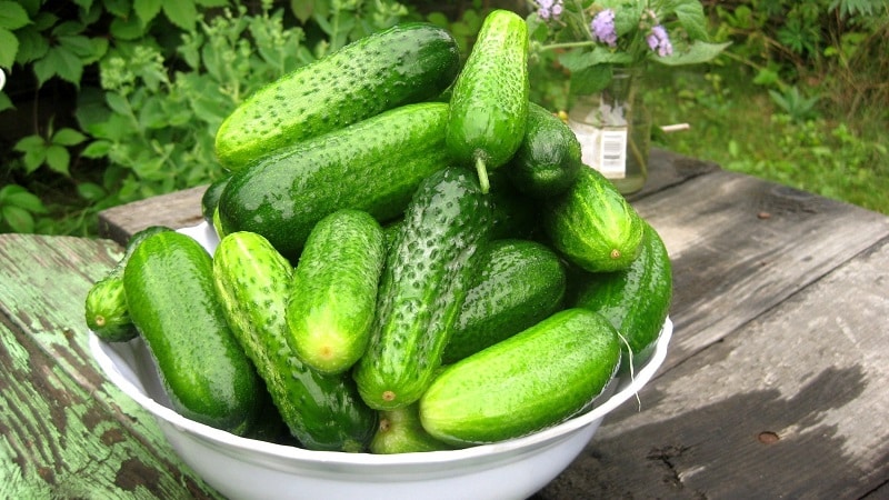 The best recipes for pickling sweet cucumbers in jars for the winter from experienced housewives