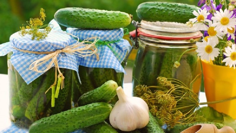 The best recipes for pickling sweet cucumbers in jars for the winter from experienced housewives