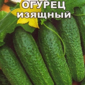A bee-pollinated variety of cucumbers loved by gardeners. Elegant for growing in greenhouses and open ground.