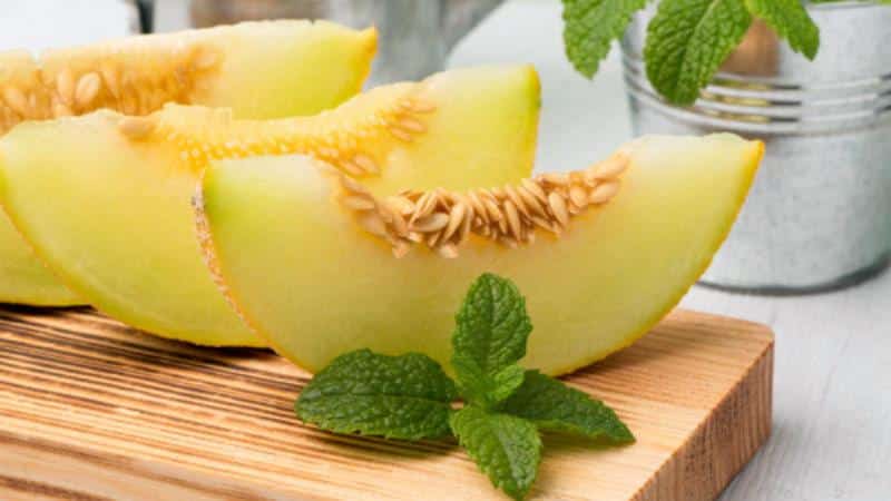 Is it possible to take melon for gastritis in various forms: rules and regulations for use