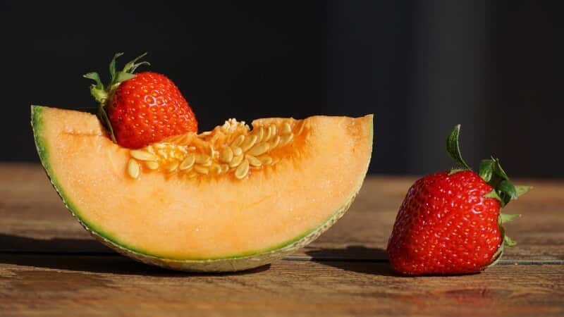 Is it possible to take melon for gastritis in various forms: rules and regulations for use