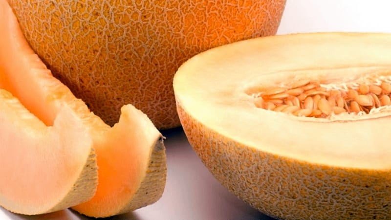 Is it possible to take melon for gastritis in various forms: rules and regulations for use
