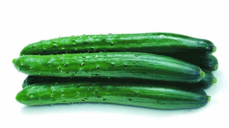 Very tasty and aromatic Alligator cucumber for fresh consumption