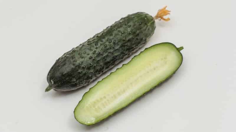 Review of Furor cucumbers: advantages and disadvantages, crop characteristics and growing tips