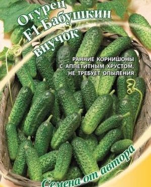 Hybrid cucumber Grandma's granddaughter f1: description and features of agricultural technology