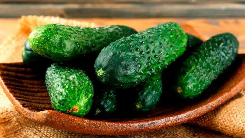 A hothouse hybrid with a beautiful name and a bountiful harvest - Emerald earrings cucumbers