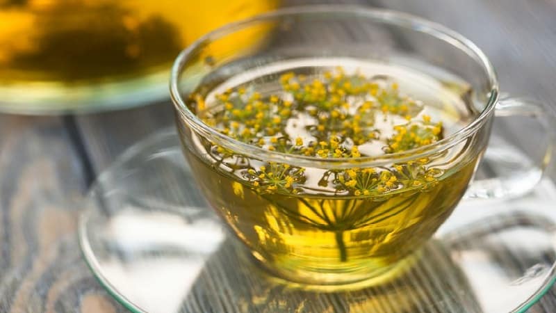 What does dill decoction help with, how to prepare and use it correctly