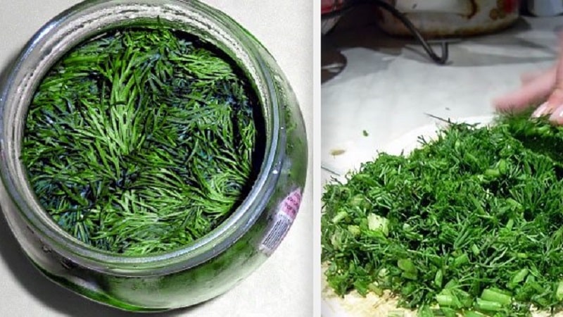 What does dill decoction help with, how to prepare and use it correctly