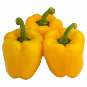 Early ripening and high-yielding hybrid of pepper Kalif (Khalif) from Japanese breeders