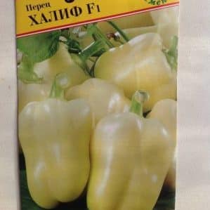 Early ripening and high-yielding hybrid of pepper Kalif (Khalif) from Japanese breeders