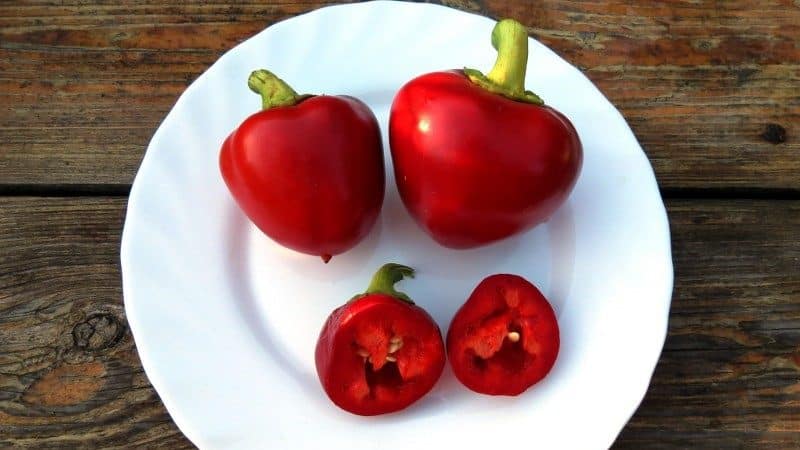 A time-tested variety of Kolobok pepper with an unusual shape and excellent taste.