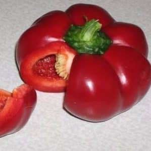 Review of the Novy Goshary pepper variety: reviews from farmers, advantages and disadvantages, nuances of cultivation