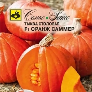 Why do farmers like the Orange Summer pumpkin so much: a hybrid that is easy to care for and indispensable in cooking