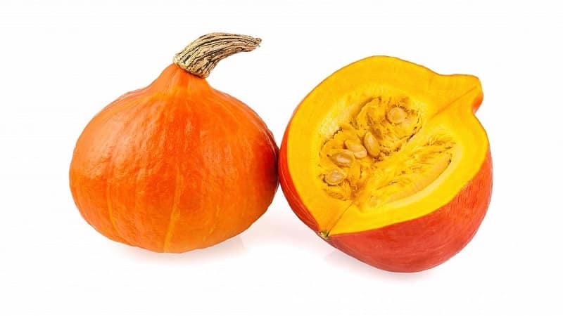 Why do farmers like the Orange Summer pumpkin so much: a hybrid that is easy to care for and indispensable in cooking