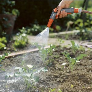 Why does a pumpkin rot in the garden, what to do about this problem and how to prevent its occurrence