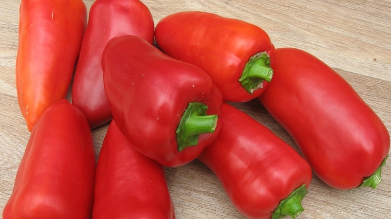 A selection of the best varieties of sweet peppers for open ground