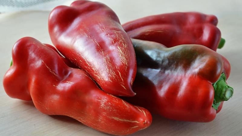 A selection of the best varieties of sweet peppers for open ground
