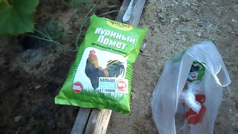 Feeding tomatoes and cucumbers with whey: the benefits of fermented milk product for obtaining a bountiful harvest