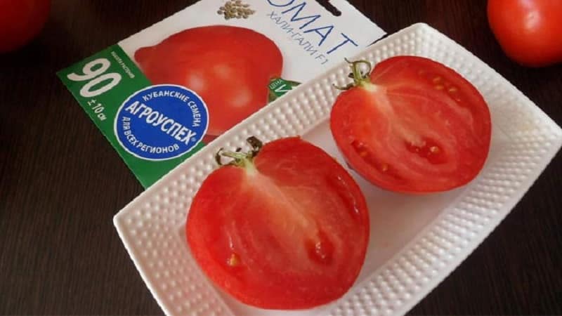 We get a record harvest with the Hali gali tomato: life hacks for gardeners and basic rules for caring for a hybrid