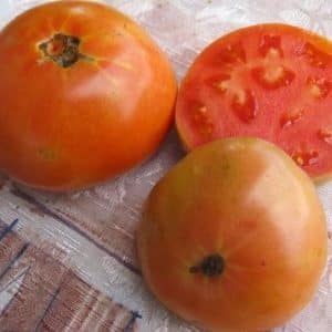 What you might remember about Masterpiece tomatoes and how to get a decent harvest