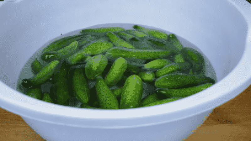 6 most delicious recipes for pickled cucumbers in a pan