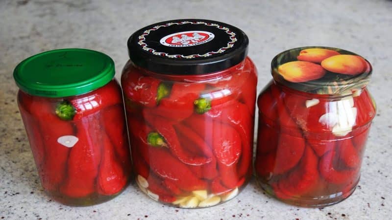 The most delicious and simple recipes for pickled peppers for the winter without sterilizing the jars