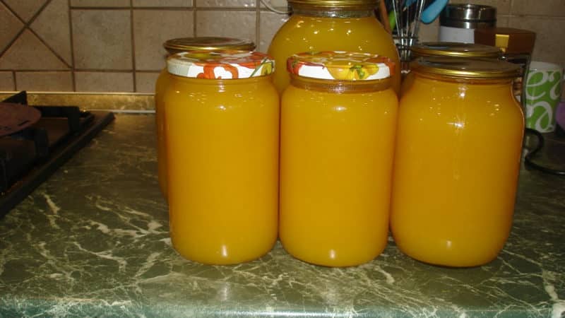 The most delicious and healthy recipes for preparing pumpkin juice in a juicer for the winter