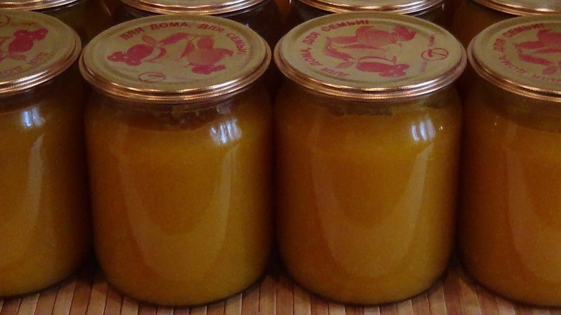 The most delicious and healthy recipes for preparing pumpkin juice in a juicer for the winter