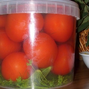The most delicious and simple recipes for pickling tomatoes in a bucket: making excellent preparations for the winter