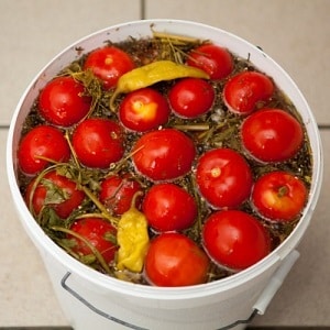 The most delicious and simple recipes for pickling tomatoes in a bucket: making excellent preparations for the winter