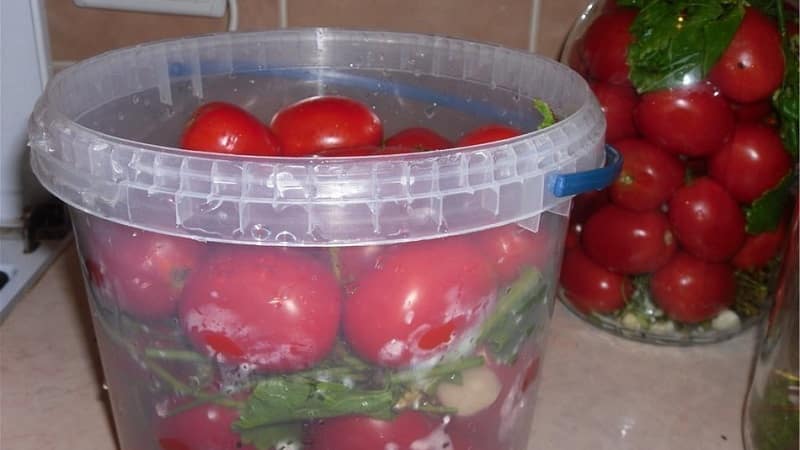 The most delicious and simple recipes for pickling tomatoes in a bucket: making excellent preparations for the winter