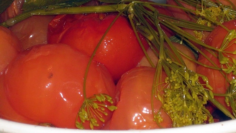 The most delicious and simple recipes for pickling tomatoes in a bucket: making excellent preparations for the winter