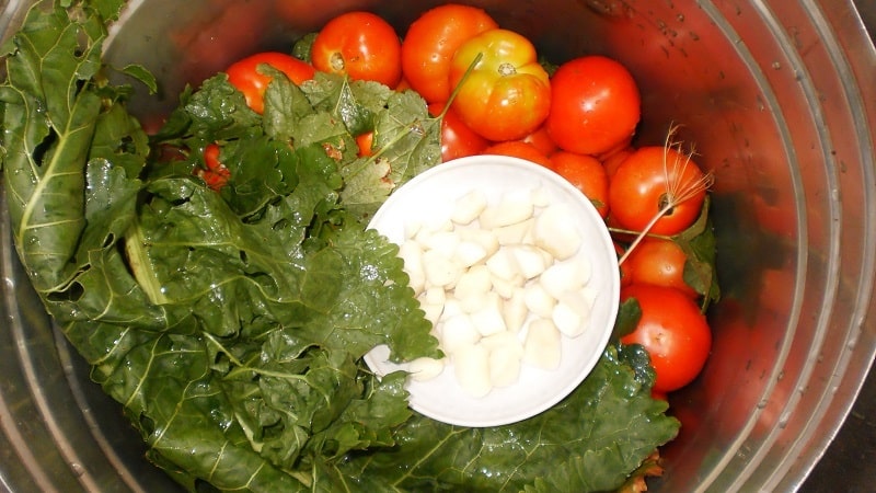 The most delicious and simple recipes for pickling tomatoes in a bucket: making excellent preparations for the winter