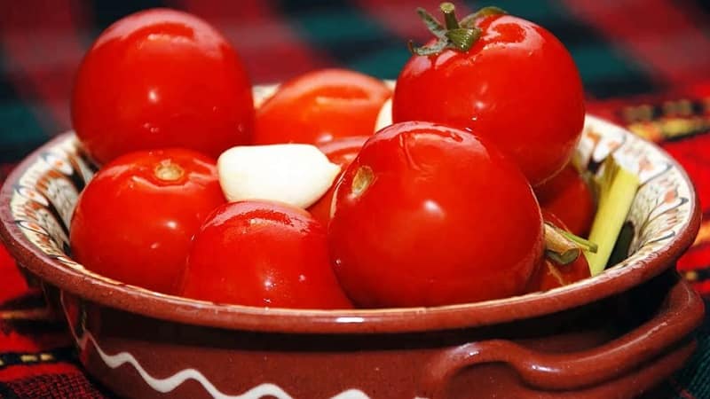 The most delicious and simple recipes for pickling tomatoes in a bucket: making excellent preparations for the winter