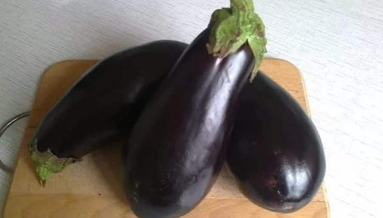 Review of the Black Prince eggplant variety and instructions for growing it