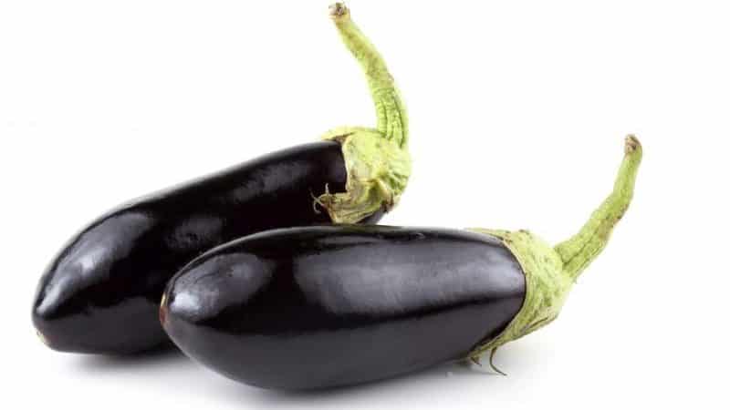 Review of the Black Prince eggplant variety and instructions for growing it