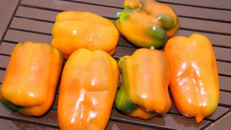Big Mama pepper variety with juicy, sweet orange-colored fruits: easy to grow on your own plot
