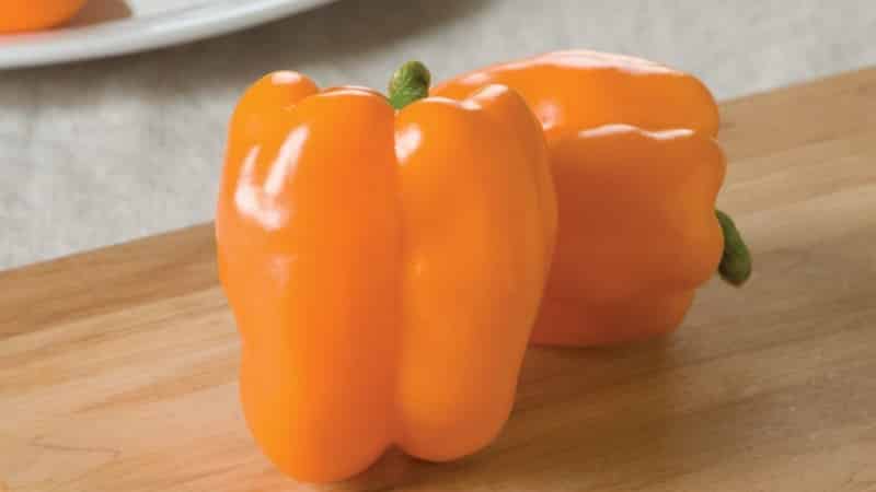Big Mama pepper variety with juicy, sweet orange-colored fruits: easy to grow on your own plot