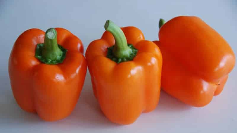 Big Mama pepper variety with juicy, sweet orange-colored fruits: easy to grow on your own plot